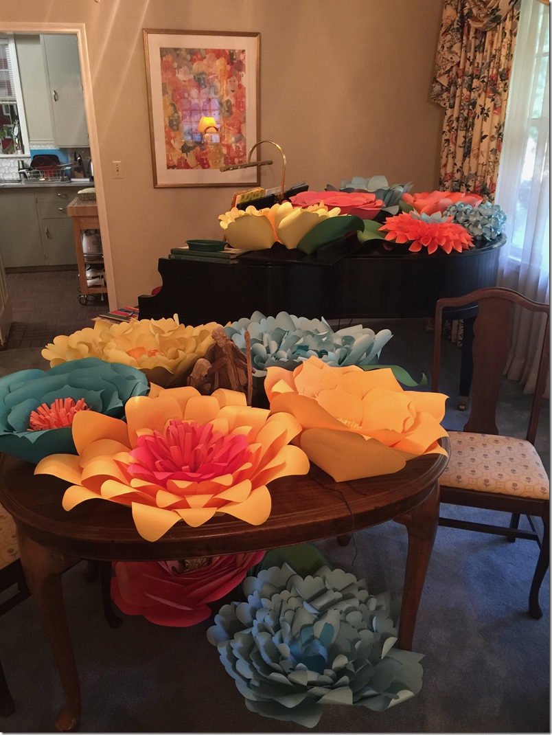 58898543815__D5317659-1E71-49EC-8146-2BA792C6B1AE