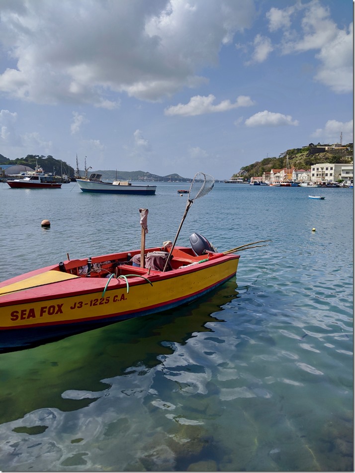 MVIMG_20200204_103151