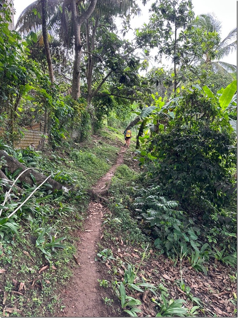 70691094865__FB083A27-33F1-4D18-88D1-458258230469