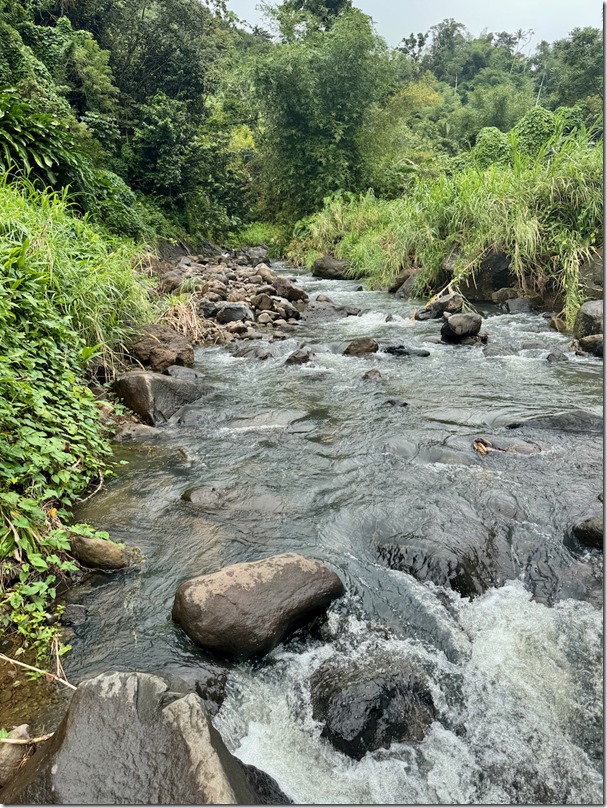 63BEB9D7-9D32-4080-9254-BB88541A021D